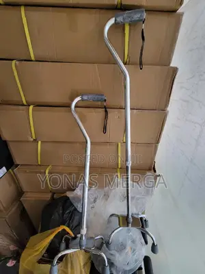Walking Stick 嚐max Weight Capacity 300lb–EVENLY DISTRIBUTED