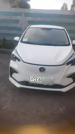 Urgent Rental Electric Car