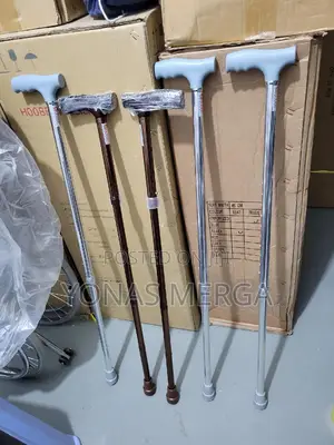 Unwavering:Walking Stick outdoor Activities for Elder Senior