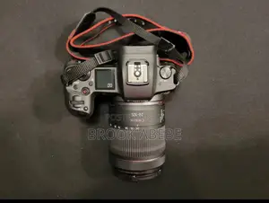 Canon R 24-105 Sliver Usa Standard