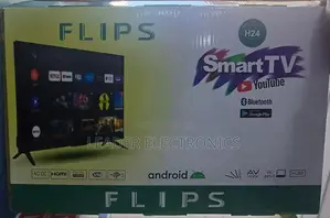 Flips Tv 24 Inch