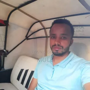 Muluken Tamiru