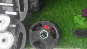 Standard Size Olympics Plate