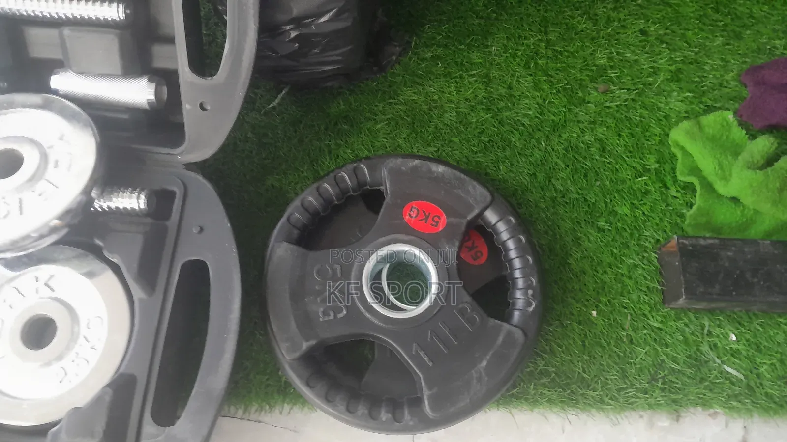 Standard Size Olympics Plate