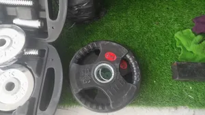 Standard Size Olympics Plate