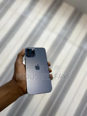 Apple iPhone 12 Pro Max 256 GB Blue