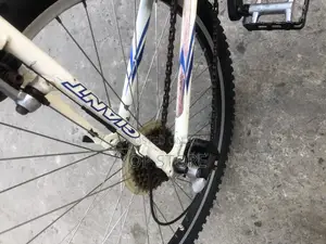 Giant Bicycle
