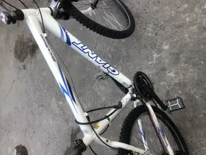 Giant Bicycle