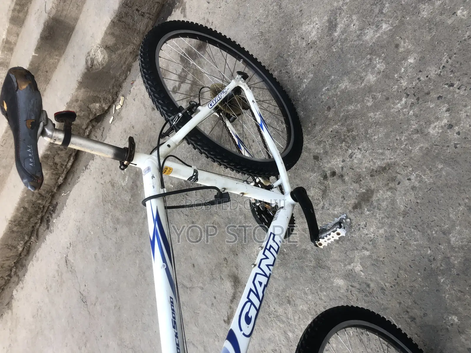 Giant Bicycle