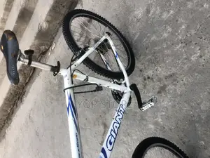Giant Bicycle