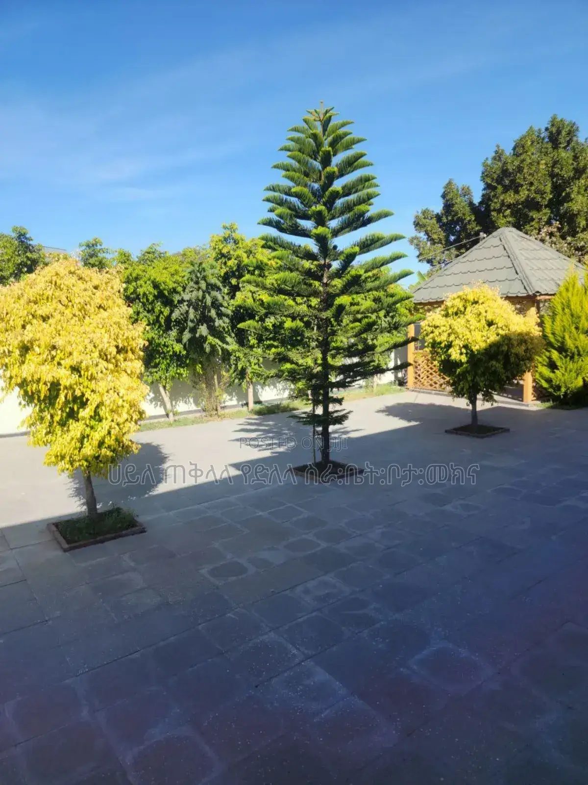 Furnished 8bdrm House in Bishofitu, Nifas Silk-Lafto for sale