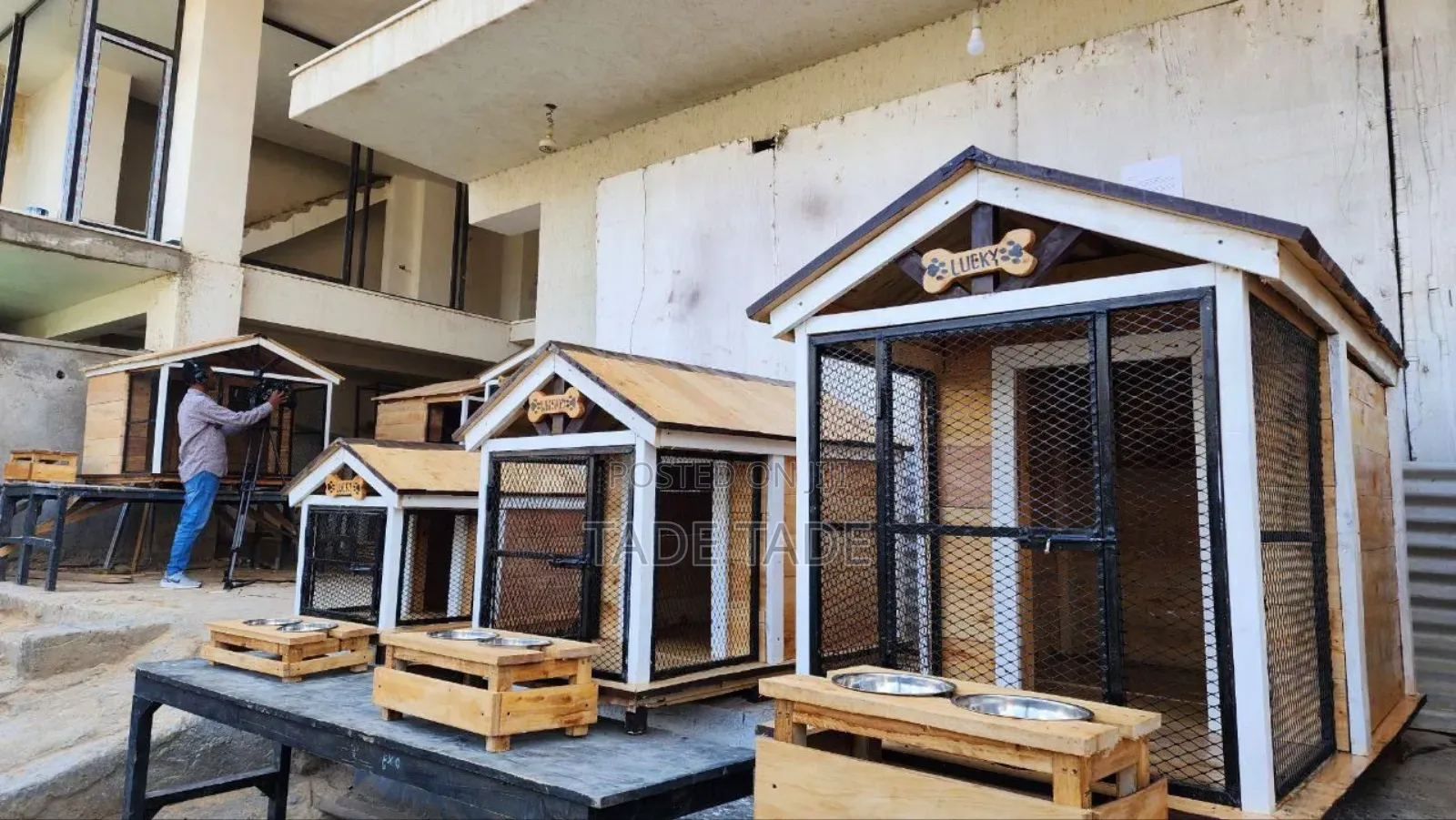 Amazing Dog House