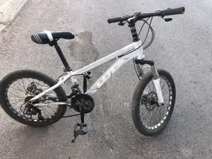 Luta Bike 20”