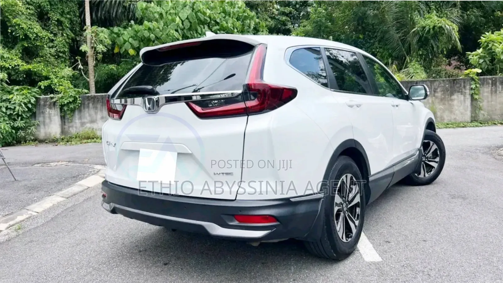 Honda for Rent