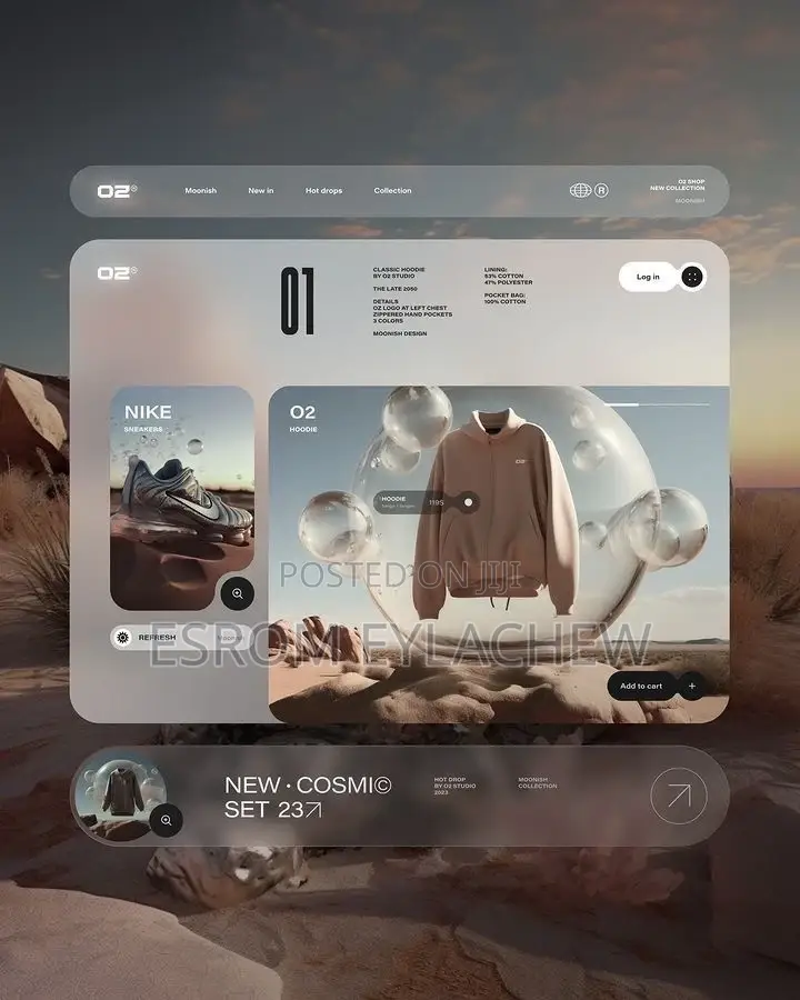 Website(Web) Developer