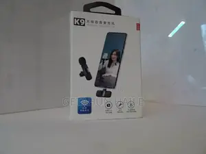 Wireless Microphone (Wireless Mic)
