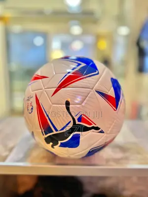 Puma Authentic Balls