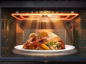 Comet Microwave Oven