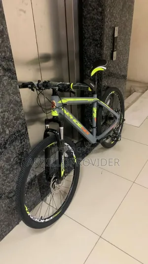 Original Phoinex Bicycle 7 Marsh Bike
