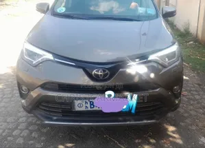 Toyota RAV4 2018 Brown
