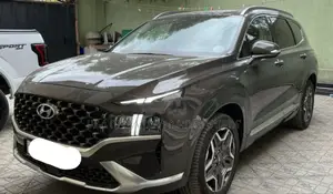 New Hyundai Santa Fe 2023 Gray