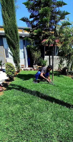 Mr.Mg Gardening Planting Survice