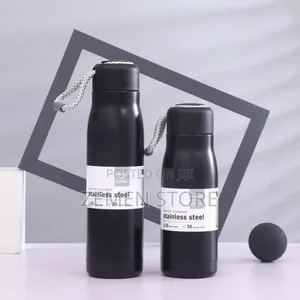 Stainless Steel Water Bottle - 550ml, Leakproof