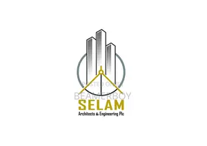 Professional Logo and Graphics Design