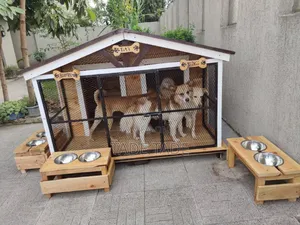 Aamazing Dog House