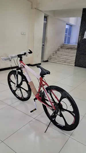 Bike Minu Original 7 MarshBike for AdultBicycle for Mens