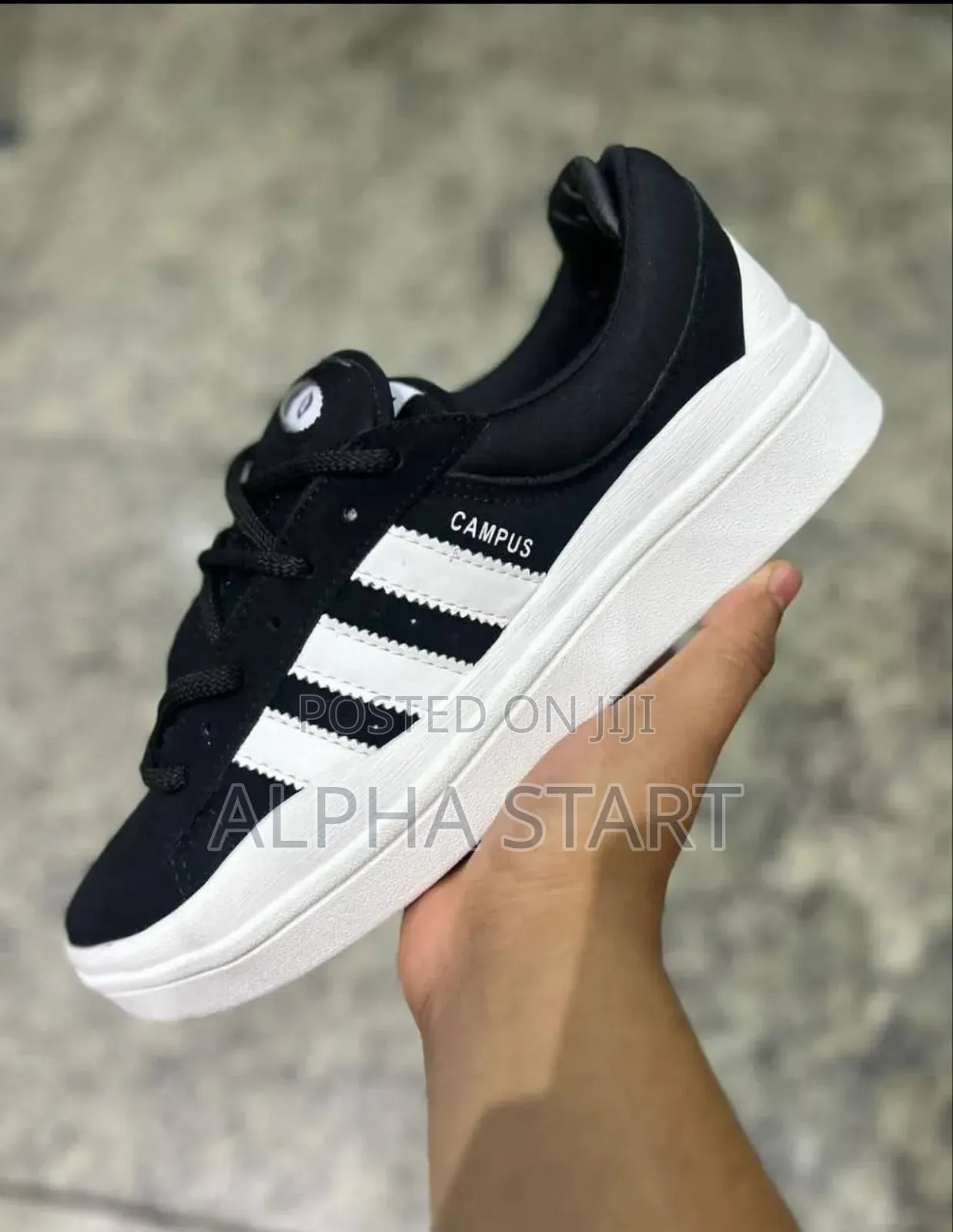 Adidas Campus Badbny Premium Quality for You Made in Vietna