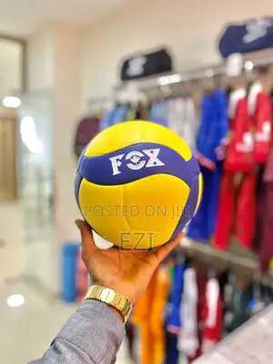 Fox Volleyball