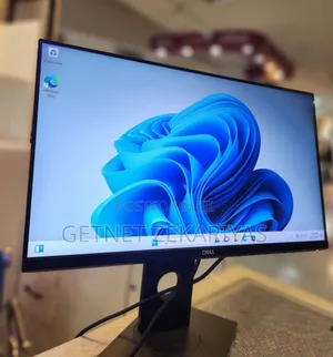 Dell Monitore