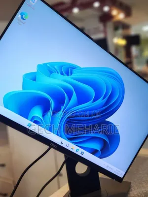 New Arrival Dell Monitor Fr