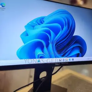 Fremless Monitor