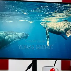 Fremless Monitor