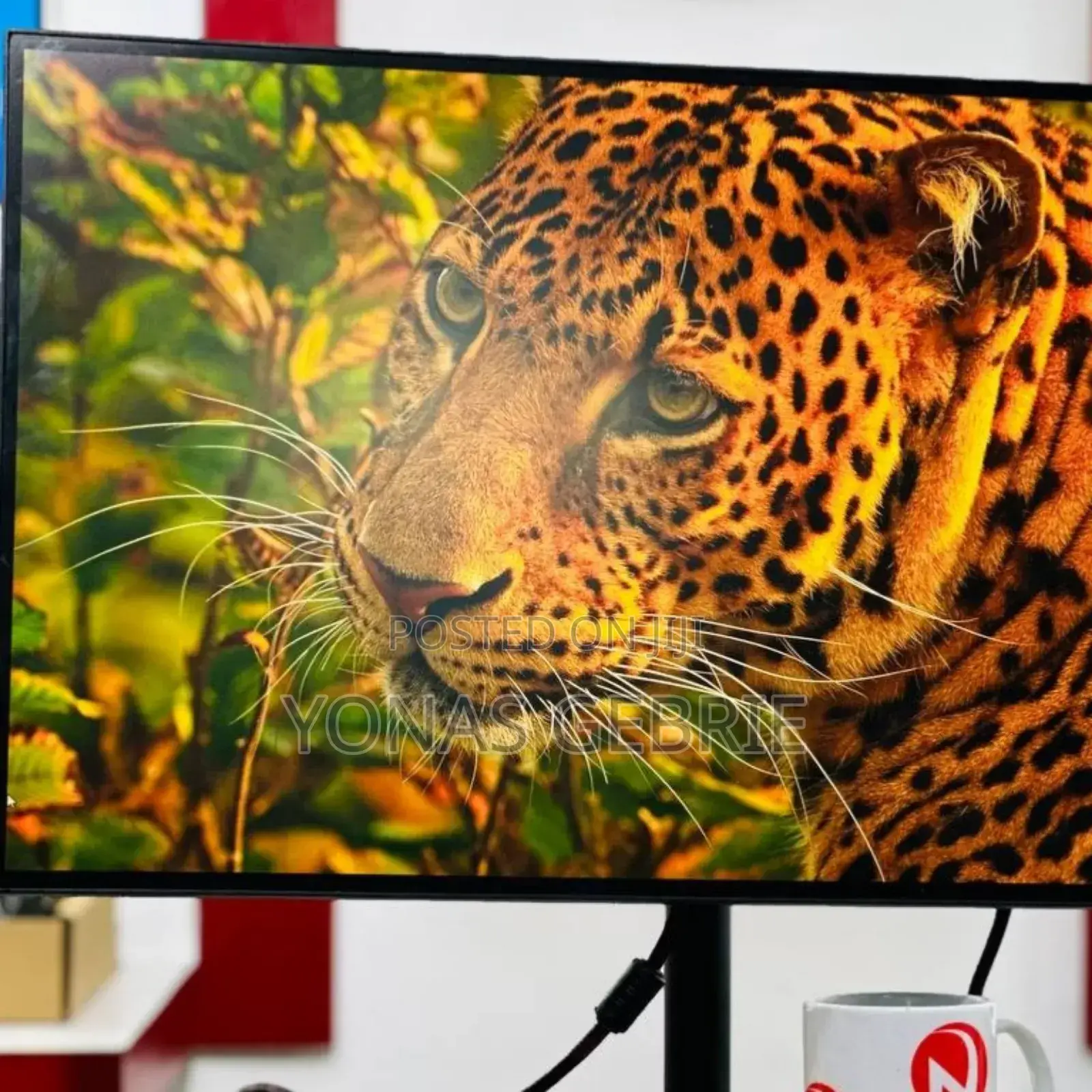Fremless Monitor