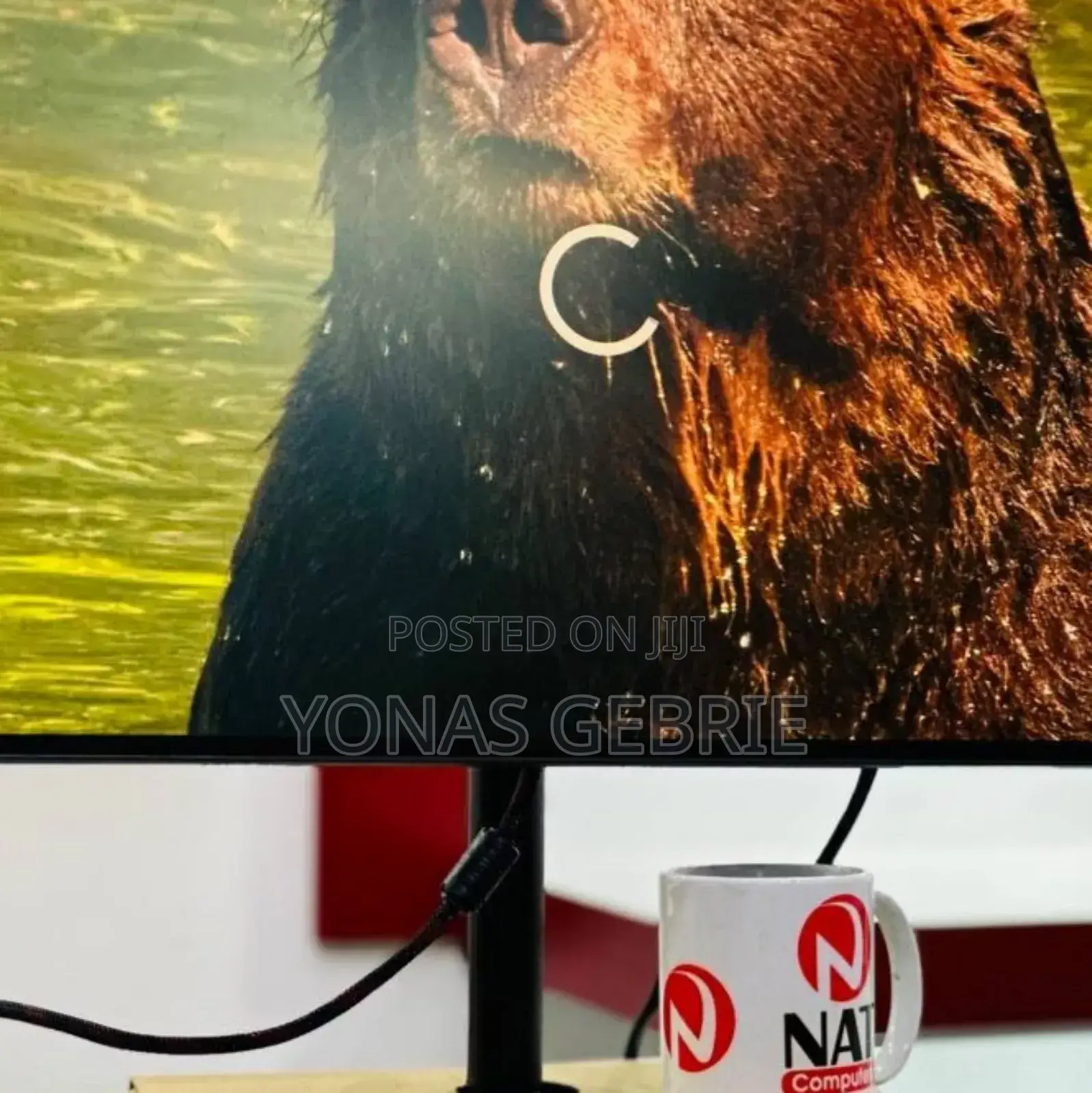 Fremless Monitor