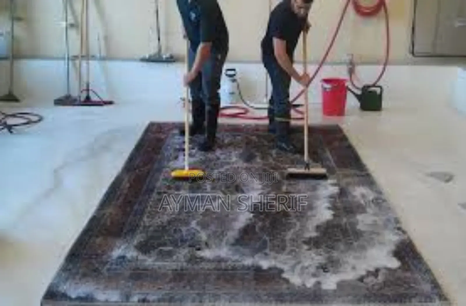 Deep Carpet Cleaning and Care