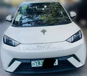 BYD Seagull 38 kWh FWD 2024 Beige