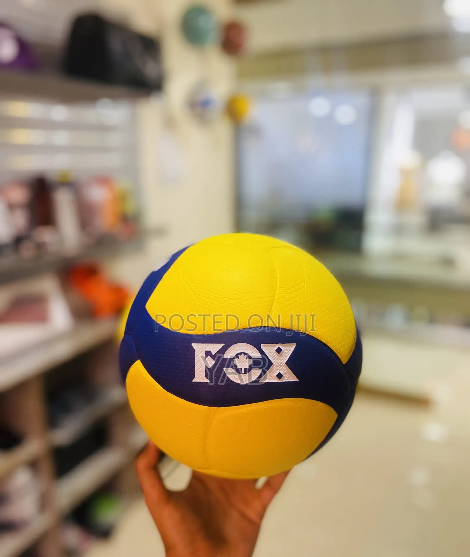 Fox Volleyball