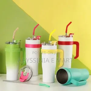 Double Layer Stainless Still With Straw (Travel Cup)