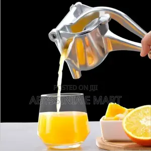 Manual Fruit Press