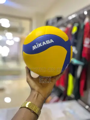 Mikasa Standard Volleyball