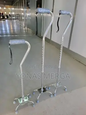 Walking Stick Stainless Steel፷朋cane, ALUM QUAD SM BASE