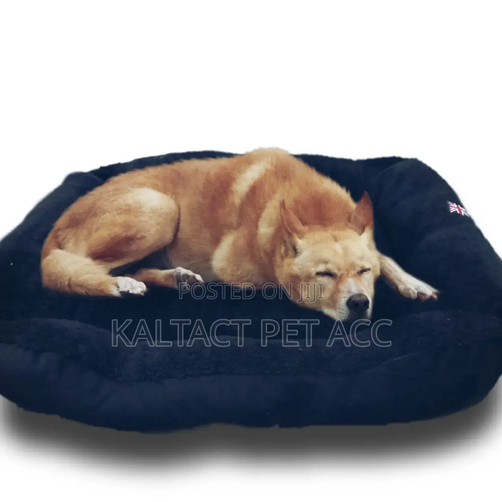 Dog Mates /Beds