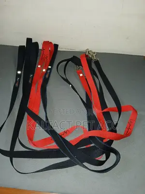 Dog Leash /Lead/