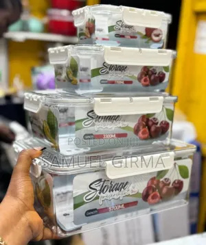 4pcs Storage Box For Fruit,Meat And Vegetables