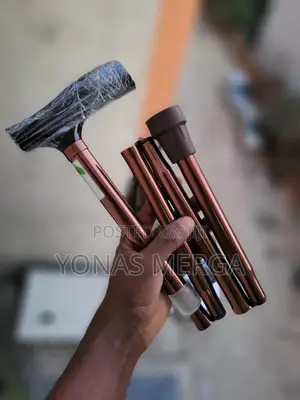 Cane=Walking Sticks Can Be Used Regularly as a Mobility Aid.