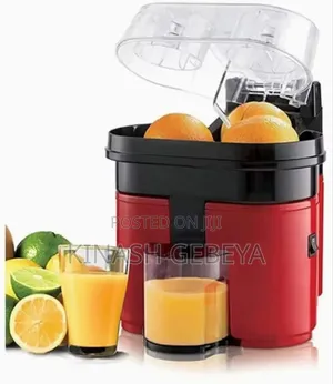 500ml Sonifer High Quality Juicer